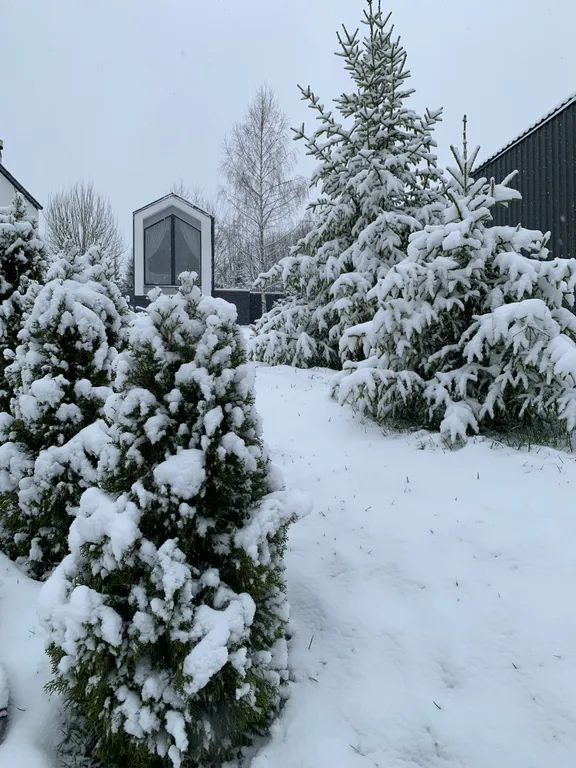 Уютные мини-барны Вдох Выдох — комфорт для отдыха на природе