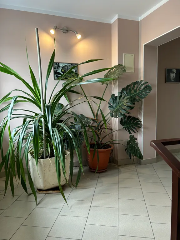 Студия на набережной