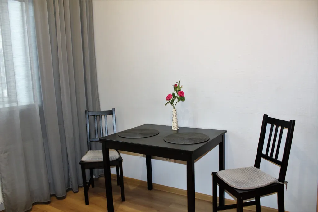 Квартира Просторная квартира у НИИ Петрова/Гранова — Песочный