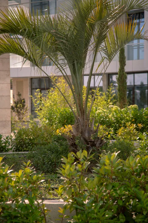 Студия с видом на горы