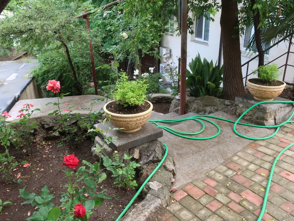 Студия Акуна Матата