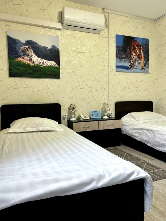 Квартира Стандартный номер с 2 раздельными кроватями — аренда посуточно в Хабаровск