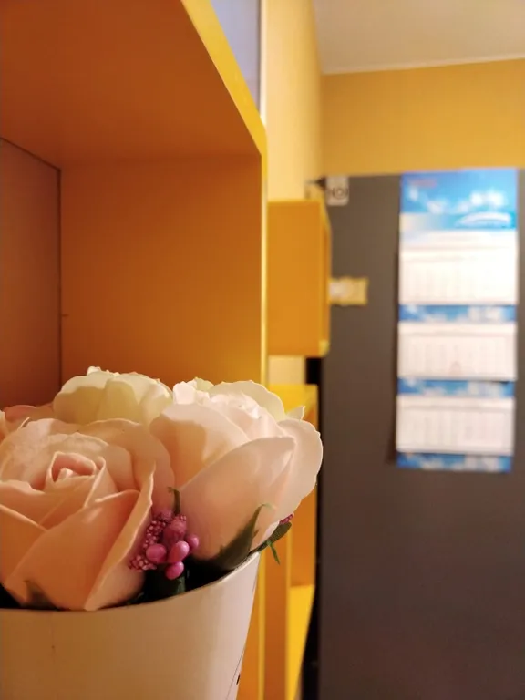 Созданная с любовью квартира в экологически чистом районе