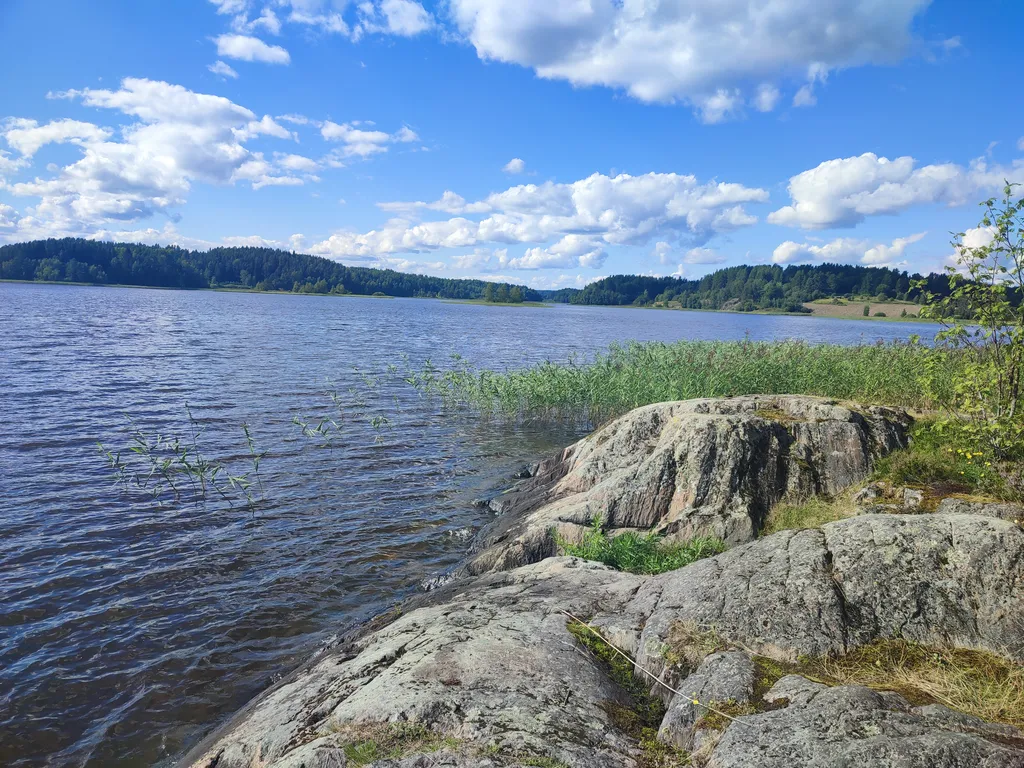 Дом в Карелии с печью-камином и видом на лес