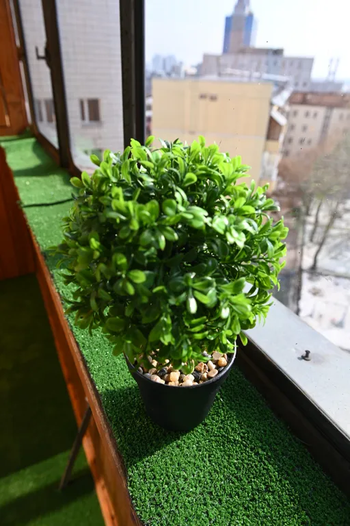 Самый центр Новосибирска