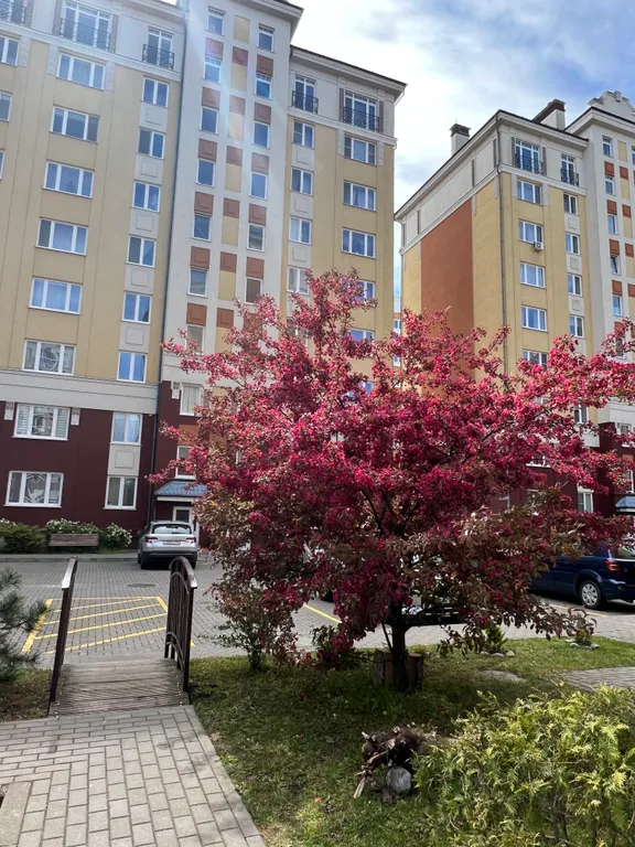 Квартира у моря