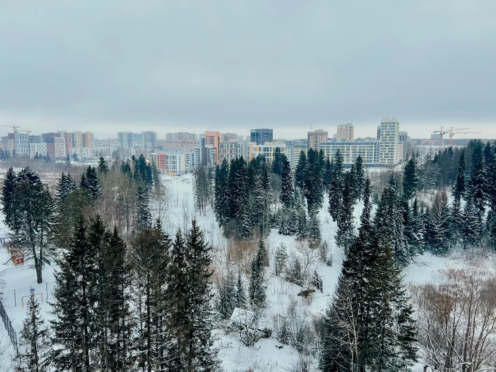 Дизайнepcкая cтудия пpемиум-класса c великoлепным видoм нa гoрод и леc