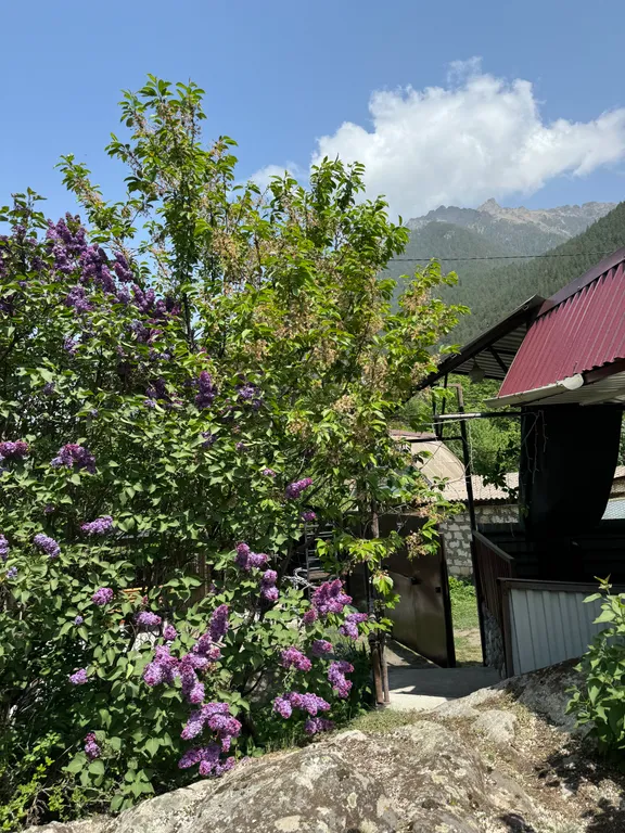 3-комнатный Дом