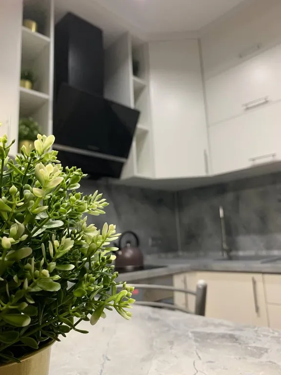 Апартаменты с видом на Дон и стадион Ростов Арена