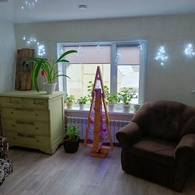 1-комнатный Дом