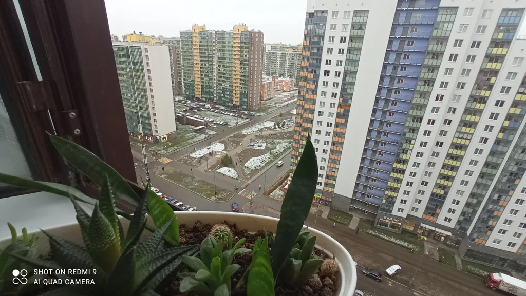 Уютная студия с видом на бульвар