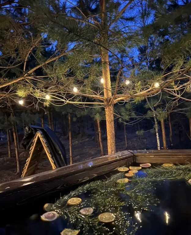 Домик в сосновом лесу с банным чаном