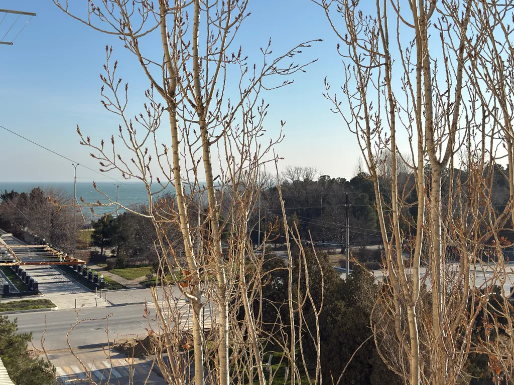 Апартаменты с видом на море