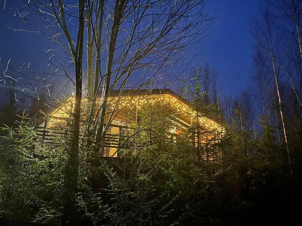 Дом Вапити - уютный коттедж на отдельном лесном участке