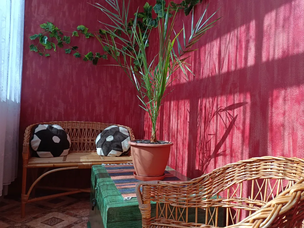 Семьëй в "Берëзовую рощу", центр и ЖД пешком