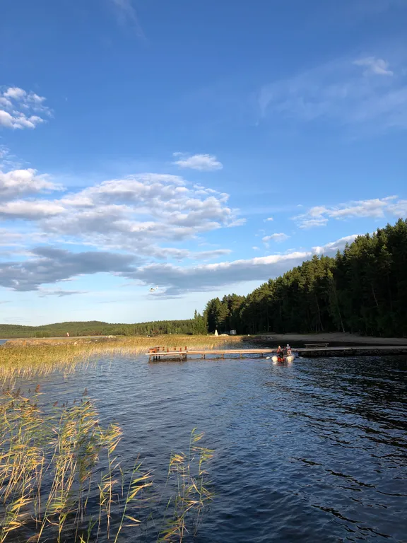 Карельская Дача Уютное шале с камином в сосновом бору, берег Сямозера
