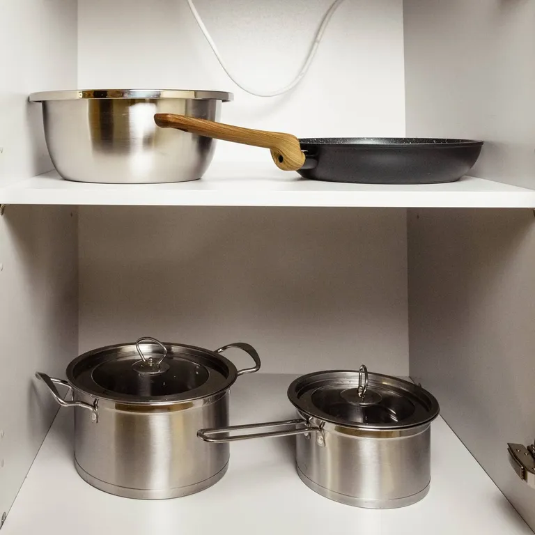 Шале посреди молодого сосново-березового леса