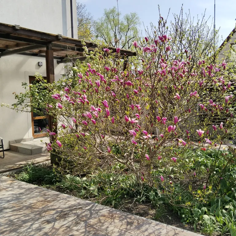 Квартира Квартира Балтика апарт — Зеленоградск