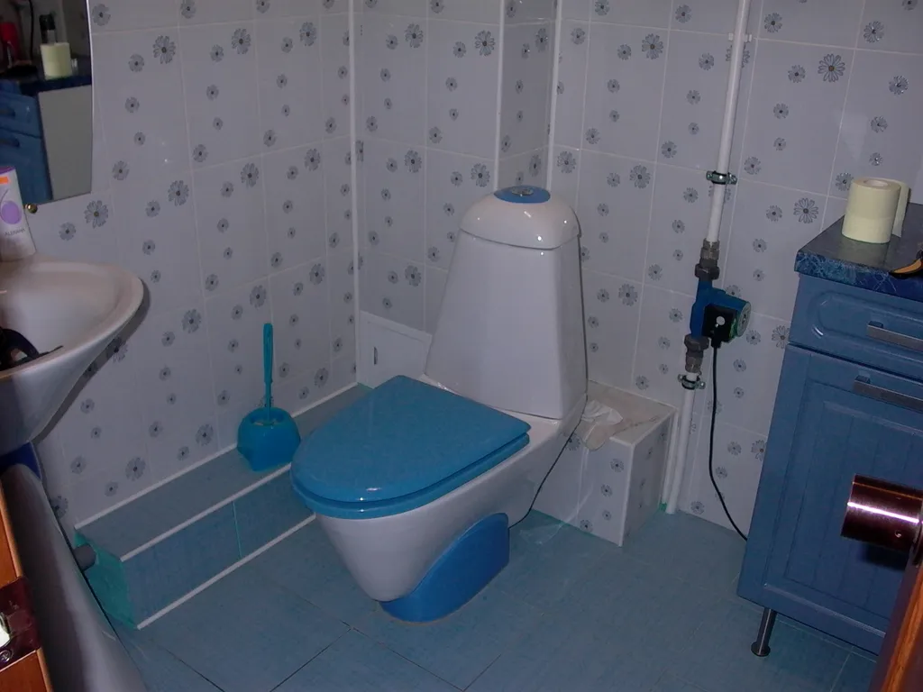 Дом в деревне с баней и камином