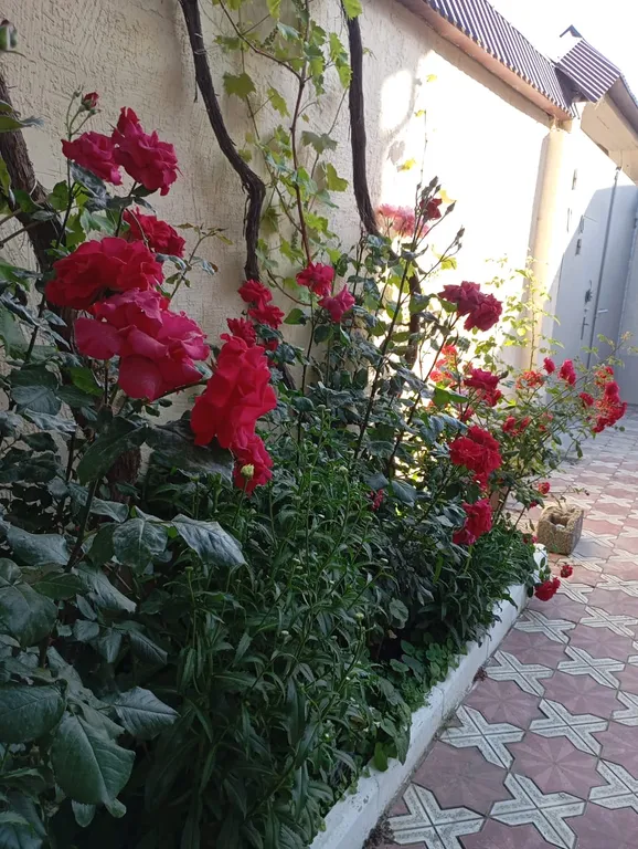 Коттедж Дом с отдельным входом в частном секторе города с мангалом — Махачкала