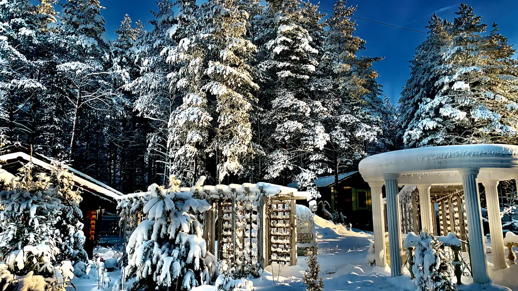 Шале в сосновом бору