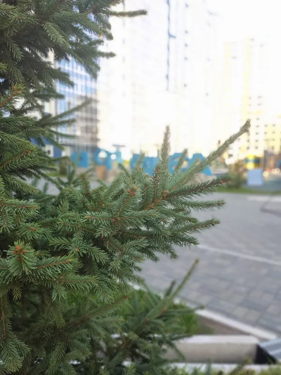 Квартира Двухкомнатная квартира в новом доме — Новосибирск