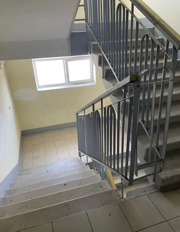 Уютная квартира с видом на лес