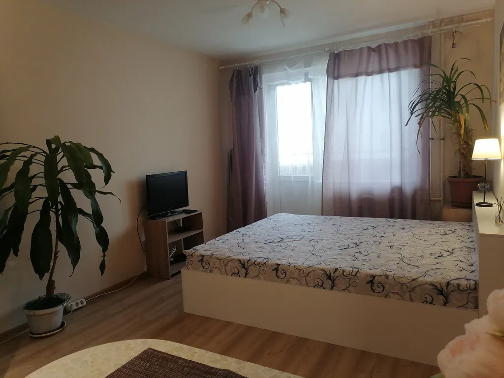 Квартира Комфортная студия в тридцати минутах от Петергофа — аренда посуточно в Петергоф