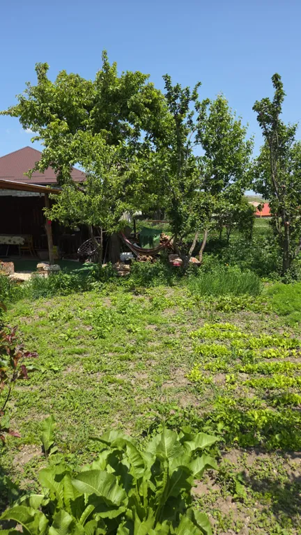 Живописный двухэтажный дом за выгодную цену