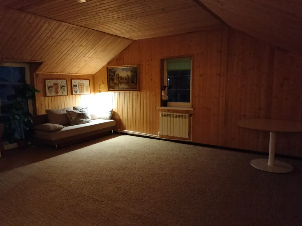 Уютный коттедж с дровяным камином, в окружении лесного массива