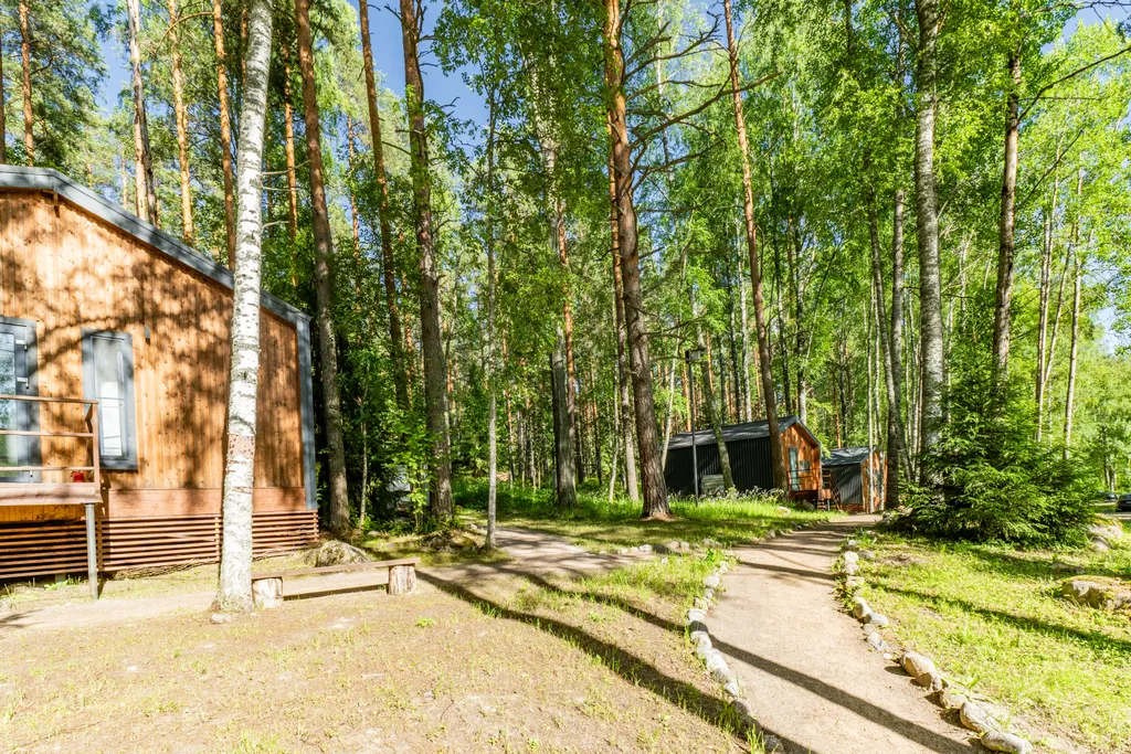 Дом с видом на лес