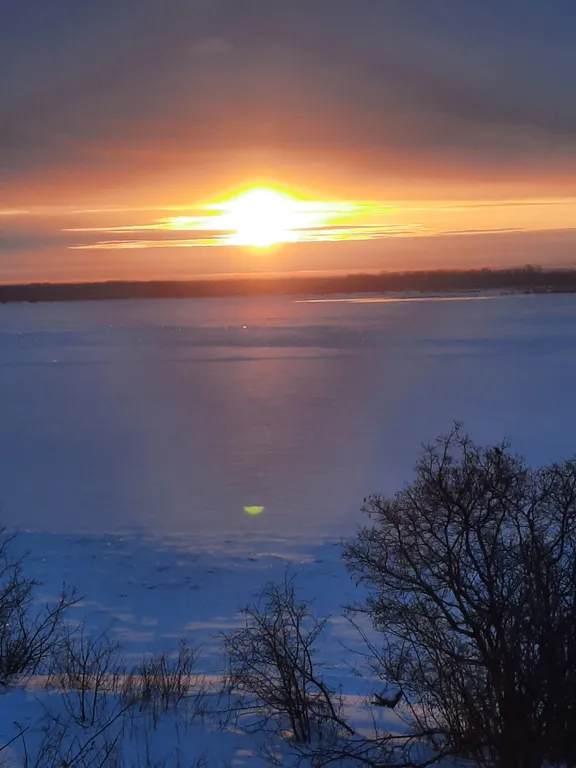 Домик на берегу Волги, на опушке леса