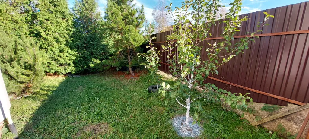 Дом Семен Семеныч