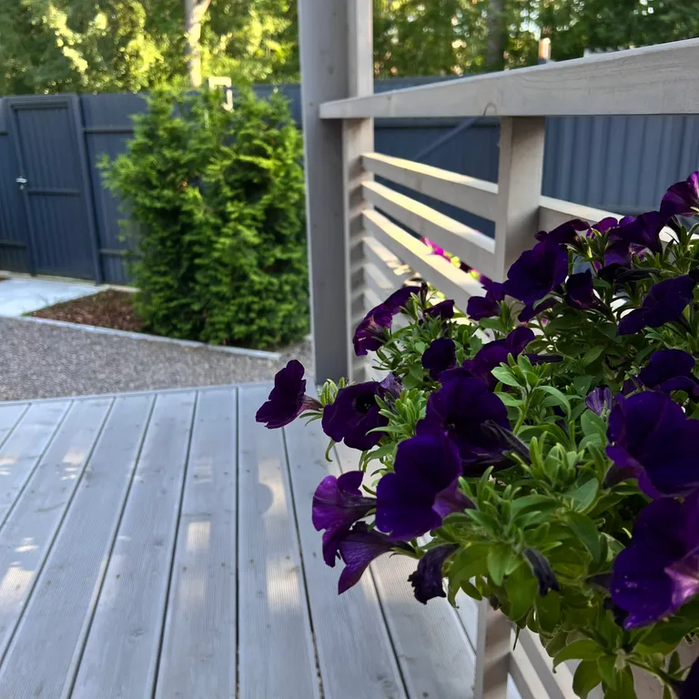 Коттедж Дом на пляже Ладожского озера — им. Морозова