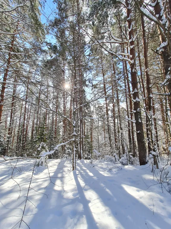 Коттедж Коттеджи у озера — Луга