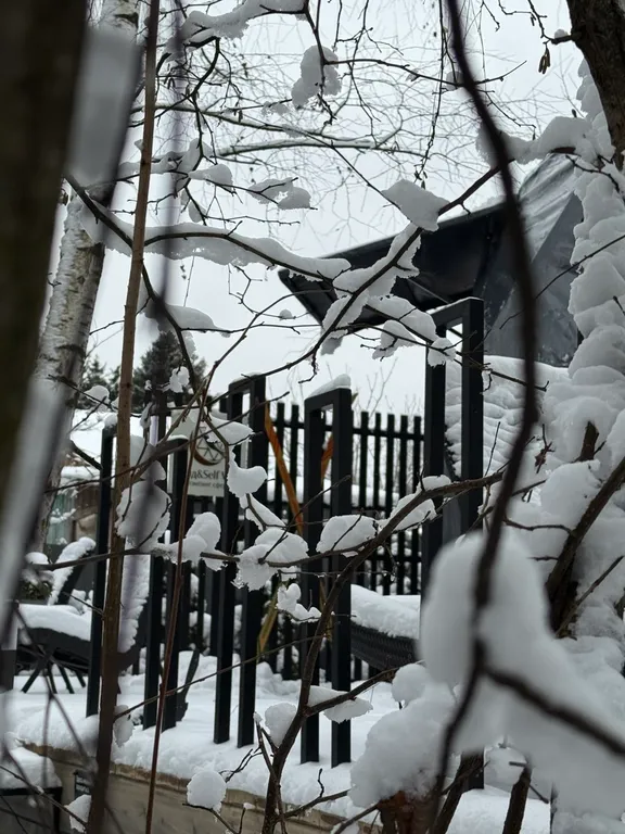 Новая сфера для глэмпинга Бёрд&Self vibe с дизайнерским интерьером