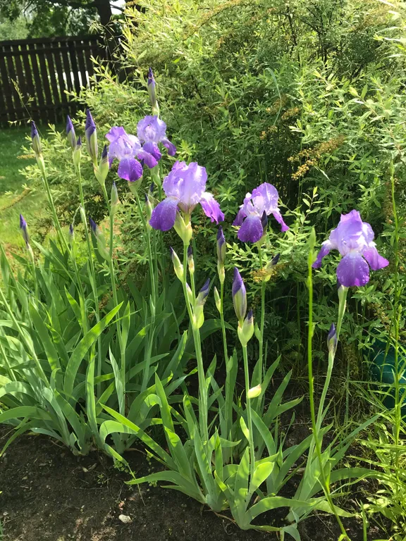 Уютный коттедж среди пушкинских мест