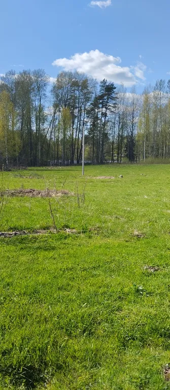 Коттедж Дом среди трех озёр — Луга