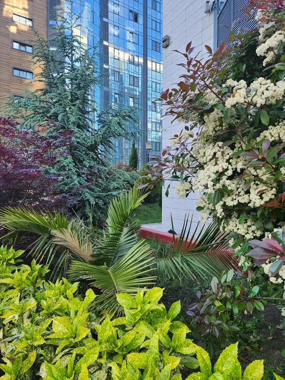 Квартира Уютная студия в ЖК бизнес класса — аренда посуточно в Небуг