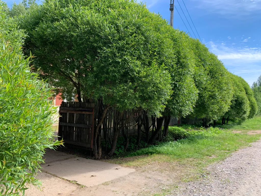 Коттедж Уютная и комфортная ХижInna с русской банькой в лесу у реки — Волхов