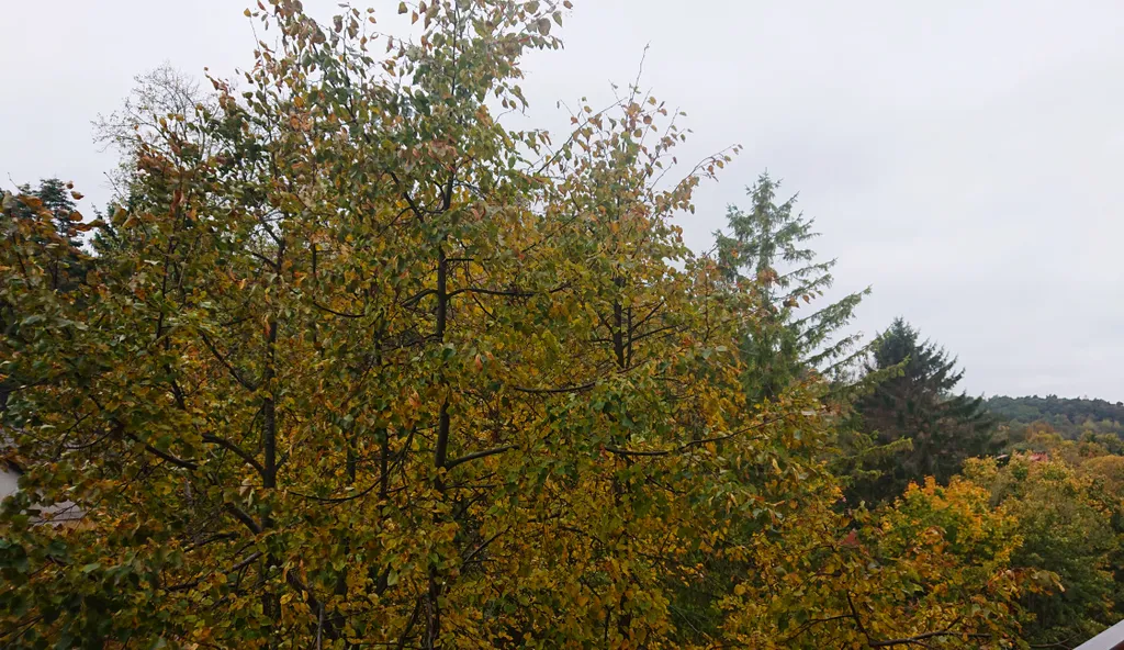 Прекрасная квартира на берегу Балтийского моря