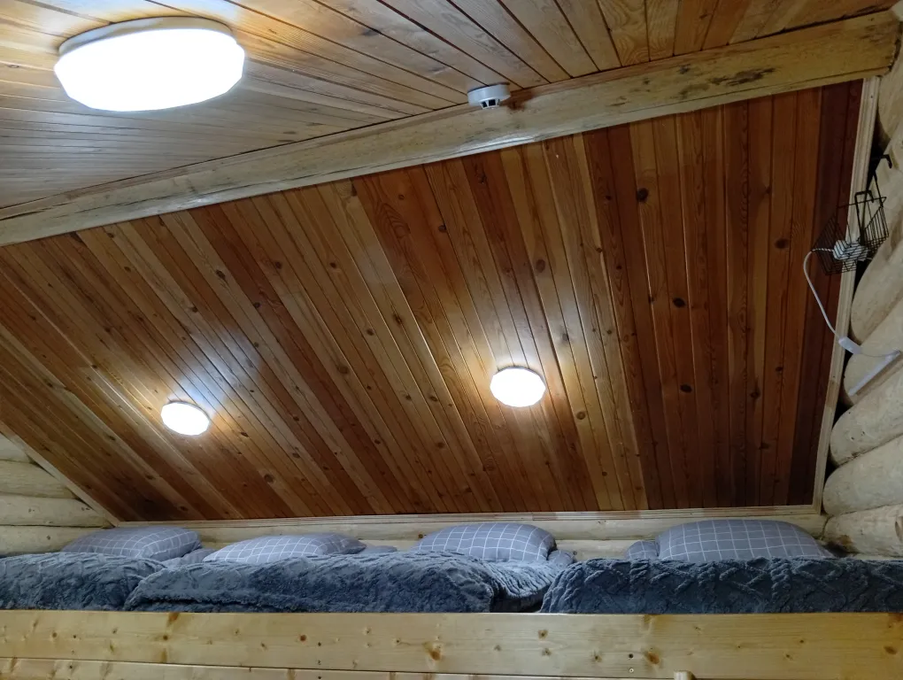 Деревянный дом, на берегу меличуярви, на краю леса в карельском селе