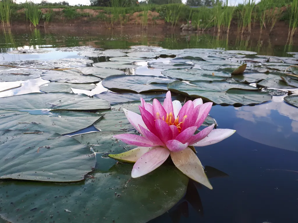 Дом в Поместье Восветава