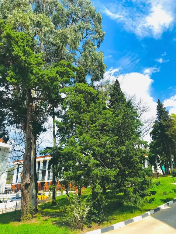 Квартира Квартира Стильная студия в ЖК Касабланка с бассейном — Адлер