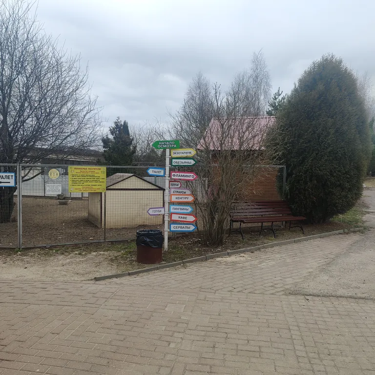 Барнхаус сова