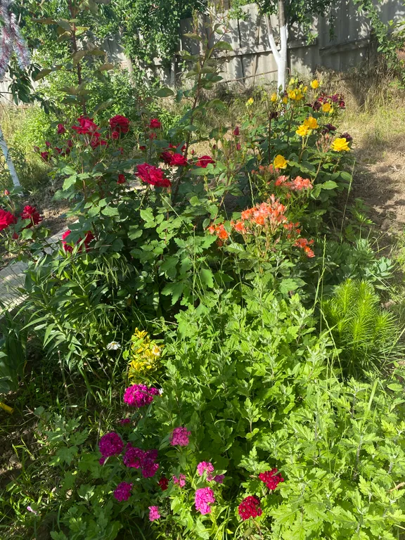 Коттедж 1-комнатный Дом — Избербаш