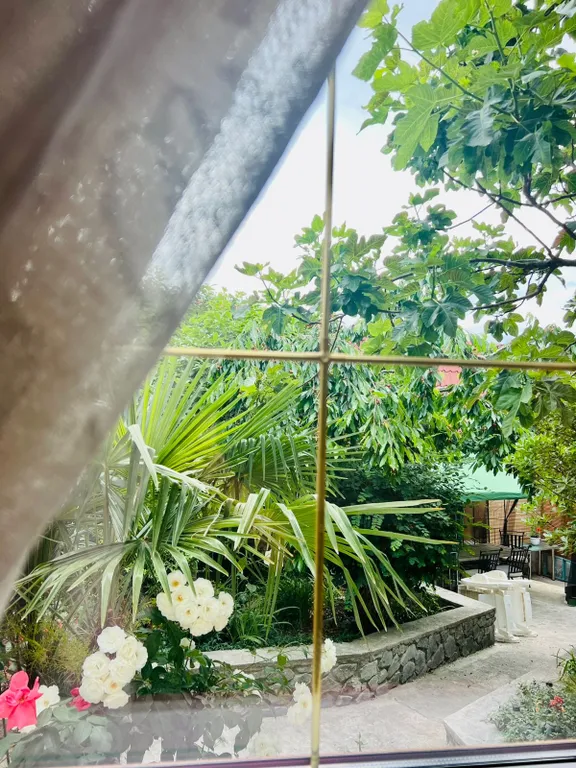 Капитан Дюк