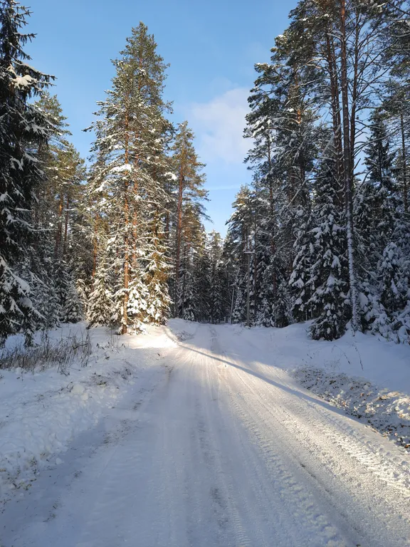Домик с видом на озеро