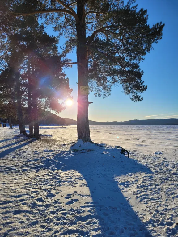 Жилье у озера