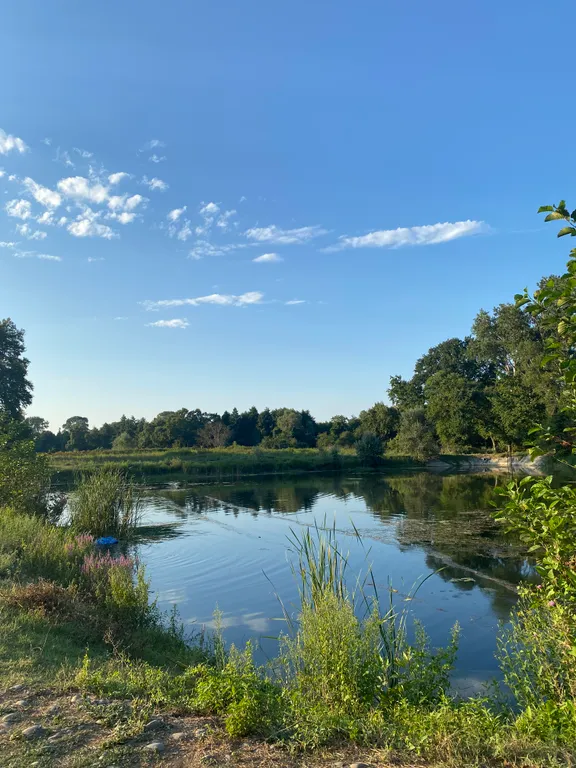 Дом из сруба в Самурском лесу